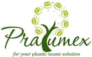 PRALUMEX FOR YOUR PLASTIC WASTE SOLUTION