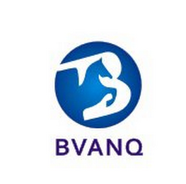 BVANQ