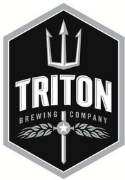 TRITON BREWING COMPANY