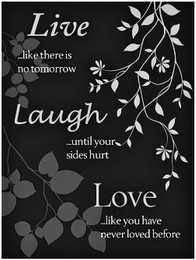 LIVE... LIKE THERE IS NO TOMORROW LAUGH... UNTIL YOUR SIDES HURT LOVE... LIKE YOU HAVE NEVER LOVED BEFORE