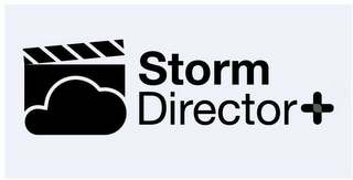 STORM DIRECTOR+