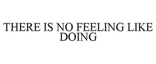 THERE IS NO FEELING LIKE DOING