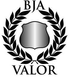 BJA VALOR