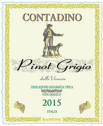 CONTADINO PINOT GRIGIO DELLE VENEZIE INDICAZIONE GEOGRAFICA TIPICA VINO BIANCO 2015 ITALIA SANTINI