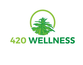 420 WELLNESS