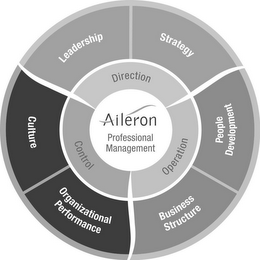 AILERON PROFESSIONAL MANAGEMENT DIRECTION LEADERSHIP STRATEGY OPERATION BUSINESS STRUCTURE PEOPLE DEVELOPMENT CONTROL CULTURE ORGANIZATIONAL PERFORMANCE