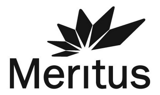 MERITUS