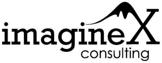 IMAGINEX CONSULTING