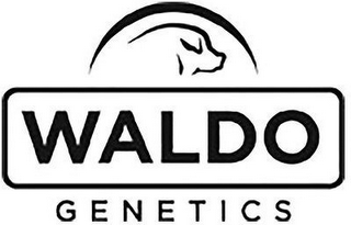 WALDO GENETICS