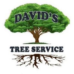 DAVID'S TREE SERVICE