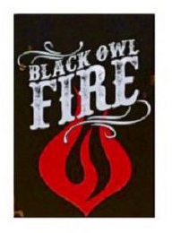 BLACK OWL FIRE