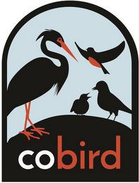 COBIRD