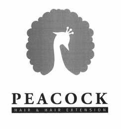 PEACOCK HAIR. HAIR EXTENSION