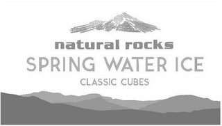 NATURAL ROCKS SPRING WATER ICE CLASSIC CUBES