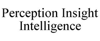 PERCEPTION INSIGHT INTELLIGENCE