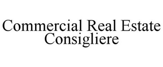 COMMERCIAL REAL ESTATE CONSIGLIERE