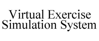 VIRTUAL EXERCISE SIMULATION SYSTEM