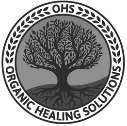 ORGANIC HEALING SOLUTIONS OHS