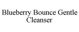 BLUEBERRY BOUNCE GENTLE CLEANSER
