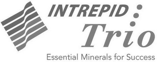 INTREPID TRIO ESSENTIAL MINERALS FOR SUCCESS