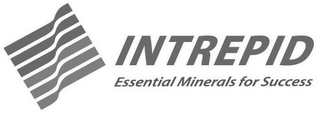 INTREPID ESSENTIAL MINERALS FOR SUCCESS