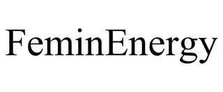 FEMINENERGY