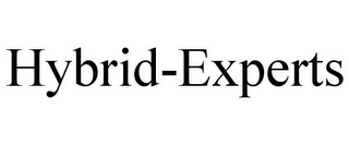 HYBRID-EXPERTS