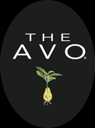 THE AVO