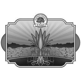 SOUTHERN ORGANICS & SUPPLY SO