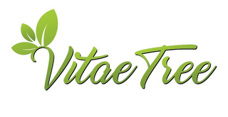 VITAE TREE