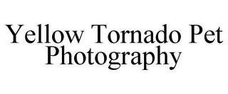 YELLOW TORNADO PET PHOTOGRAPHY