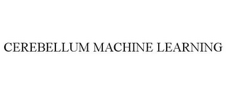 CEREBELLUM MACHINE LEARNING