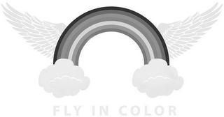 FLY IN COLOR