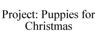 PROJECT: PUPPIES FOR CHRISTMAS