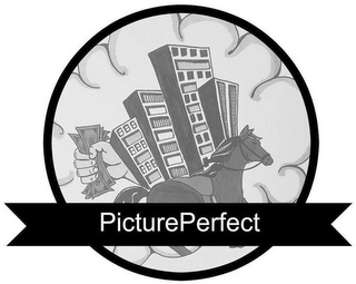 PICTUREPERFECT
