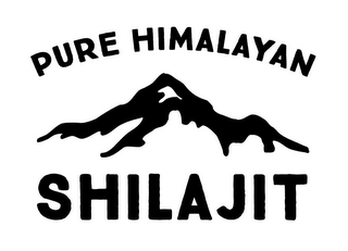 PURE HIMALAYAN SHILAJIT