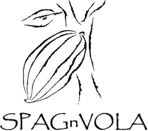 SPAGNVOLA