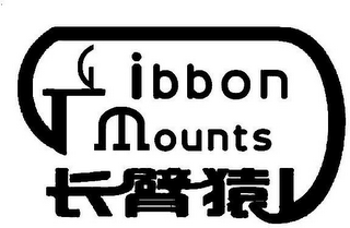 GIBBON MOUNTS