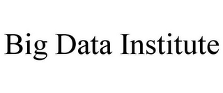 BIG DATA INSTITUTE