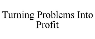 TURNING PROBLEMS INTO PROFIT