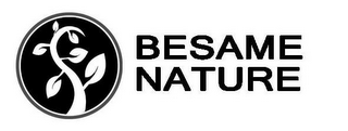 BESAMENATURE