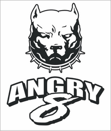 ANGRY 8