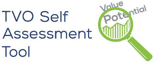 TVO SELF ASSESSMENT TOOL VALUE POTENTIAL