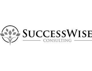 SUCCESSWISE CONSULTING