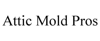 ATTIC MOLD PROS