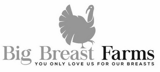 BIG BREAST FARMS YOU ONLY LOVE US FOR OUR BREASTS