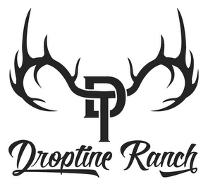 DT DROPTINE RANCH