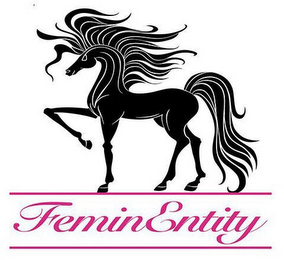 FEMINENTITY