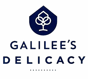 GALILEE'S DELICACY