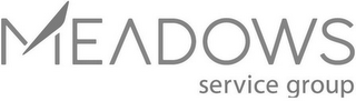 MEADOWS SERVICE GROUP